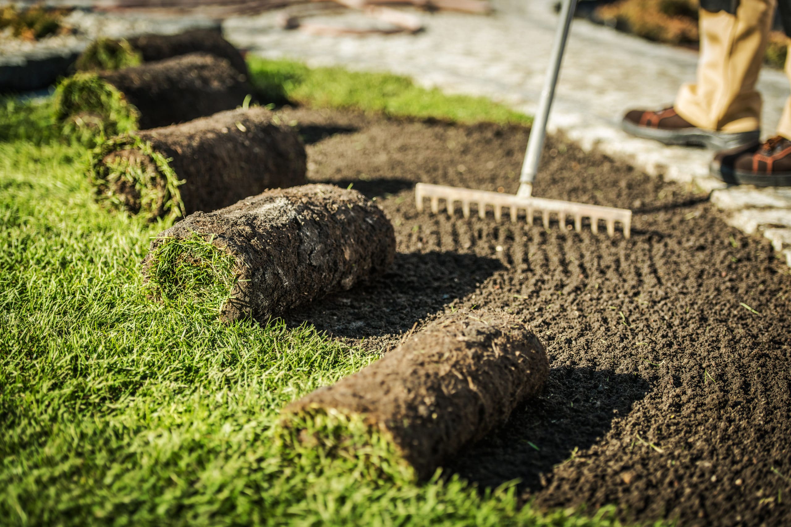 Lawn care contractor preparing area for sod installation